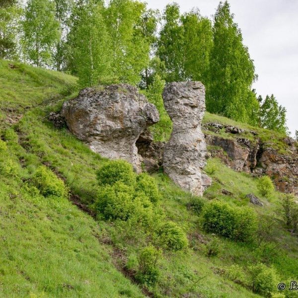 Сплав по реке Немда - фото