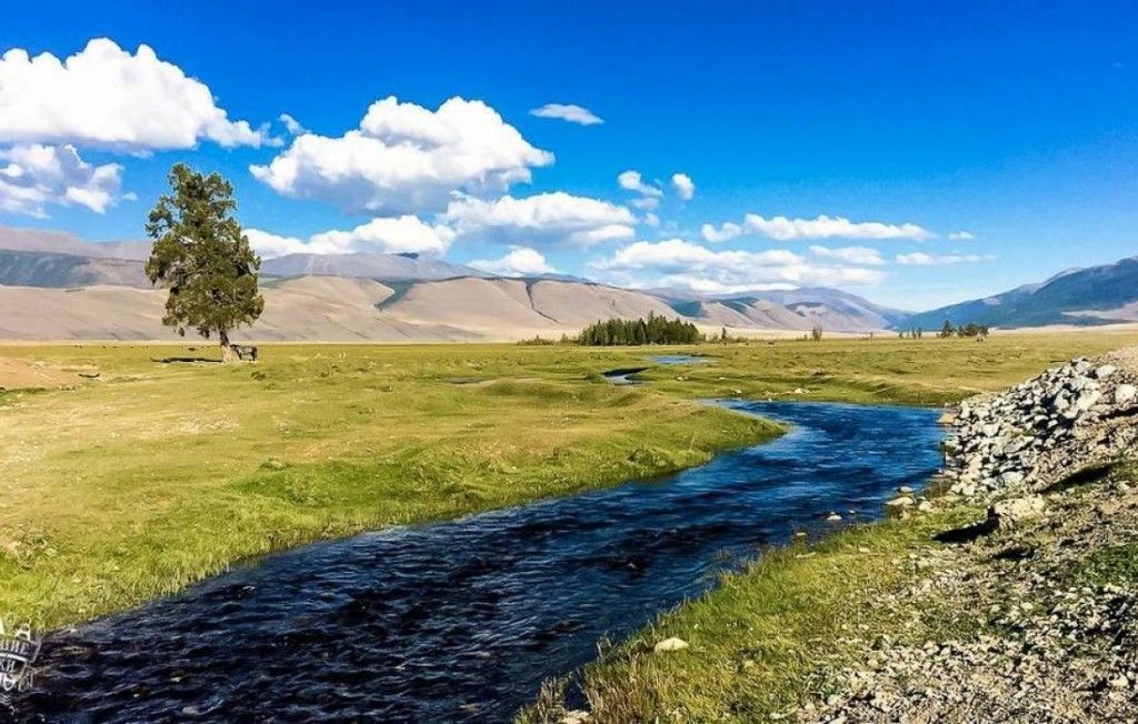 Алтай - к подножию Белухи - фото