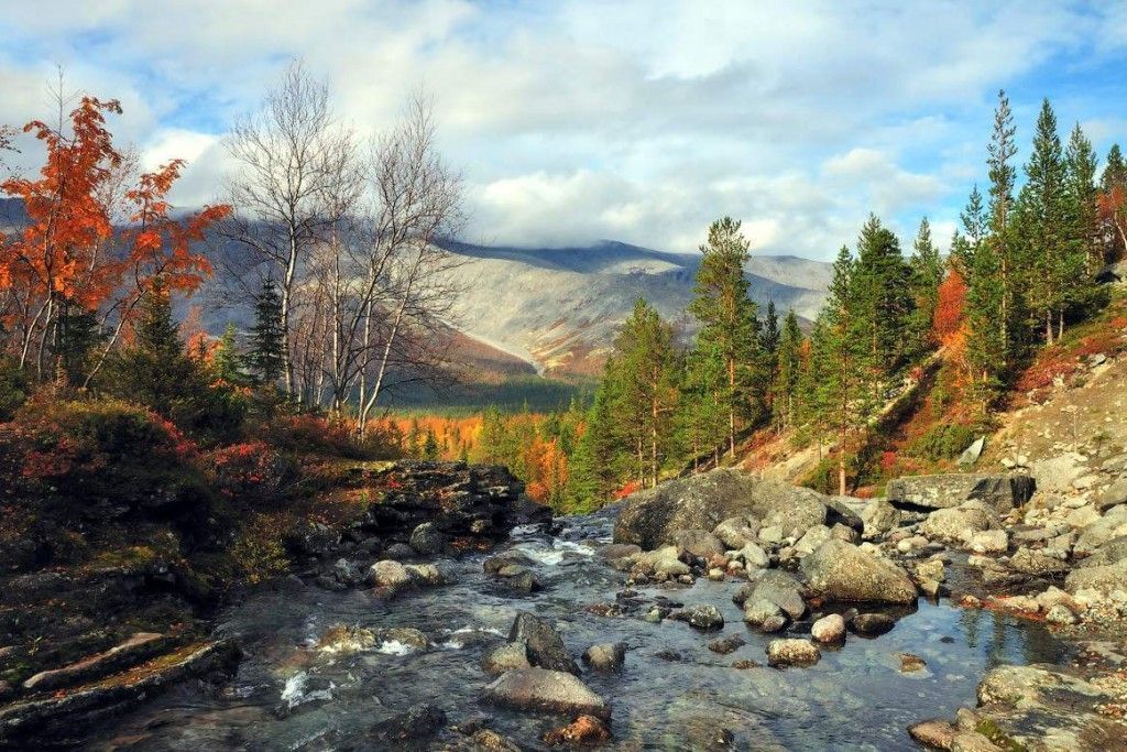 Плато Укок – тайны загадочного места - фото