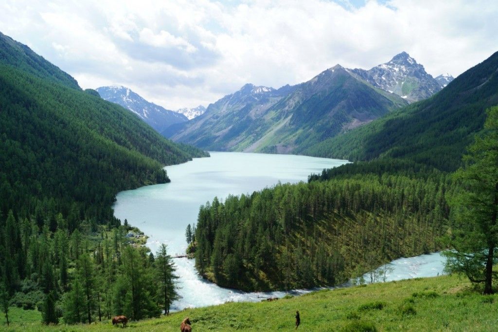 Ожерелье Белухи - фото