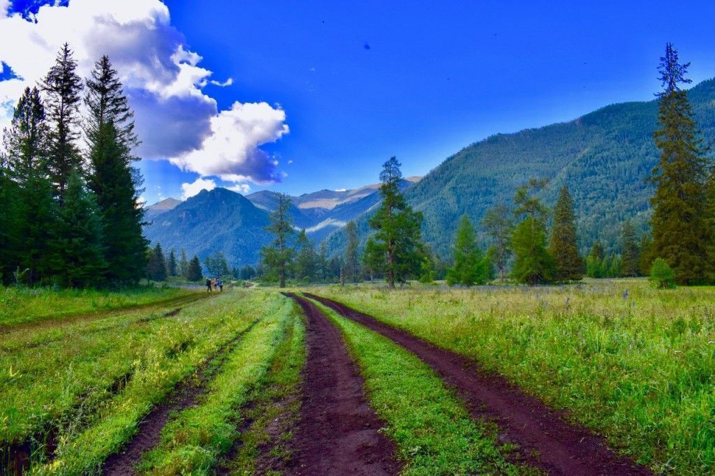 Поход на Алтай "К подножию Белухи и Кучерлинскому озеру" - фото