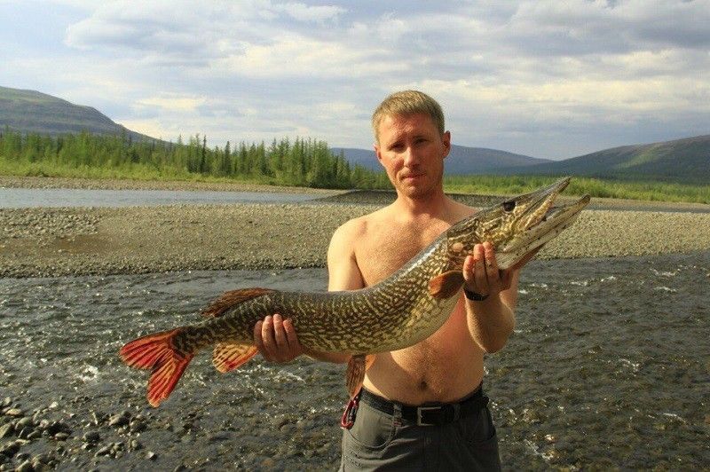 Комбинированный пеше-водный поход на плато Путорана с отменной рыбалкой - фото