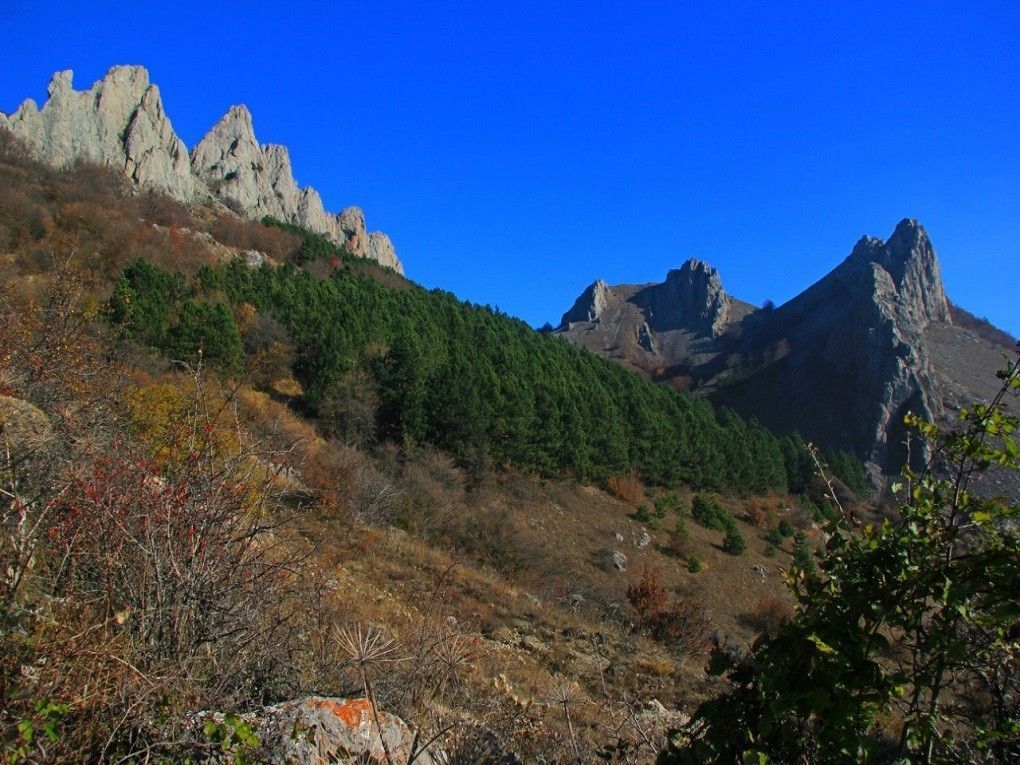 Из Ялты в Балаклаву - фото