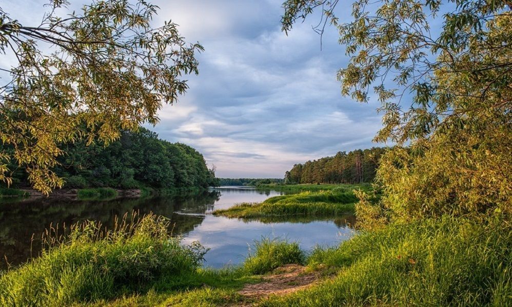 Сплав по реке Клязьма на плоту - фото