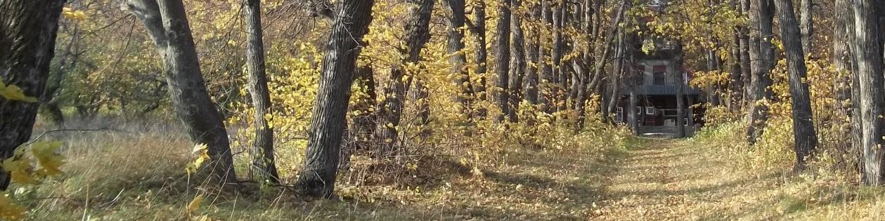Загородный клуб «Лесная сказка» - изображение Загородный клуб «Лесная сказка» - фото