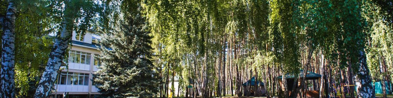 База отдыха «Сосновая гора» - изображение База отдыха «Сосновая гора» - фото
