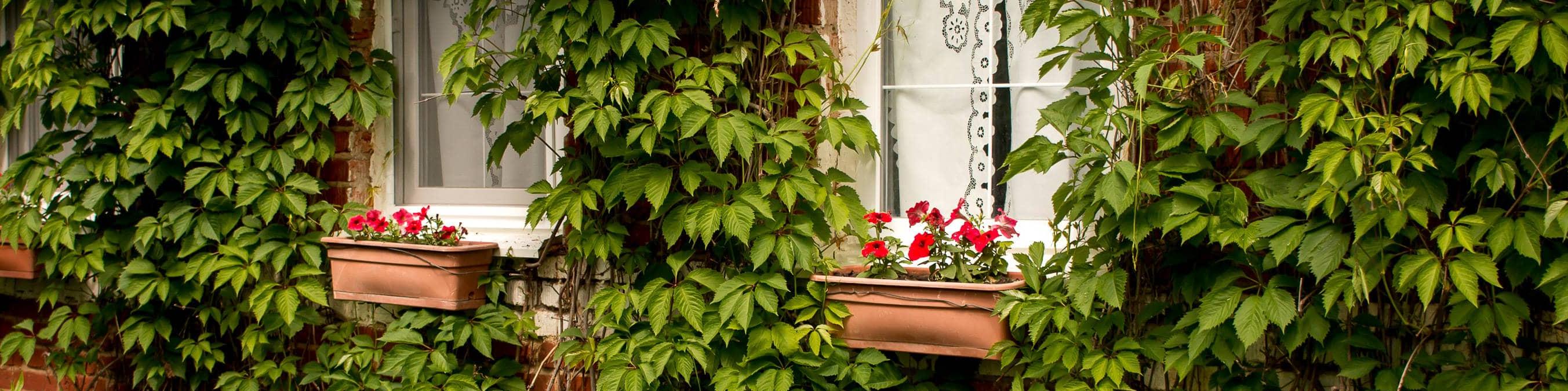 Усадьба «Теплый Хутор» - изображение Усадьба «Теплый Хутор» - фото