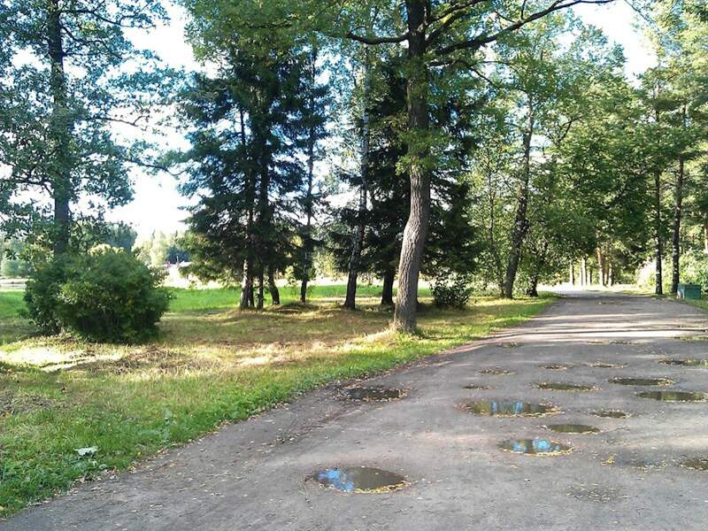 Павловский парк - фото