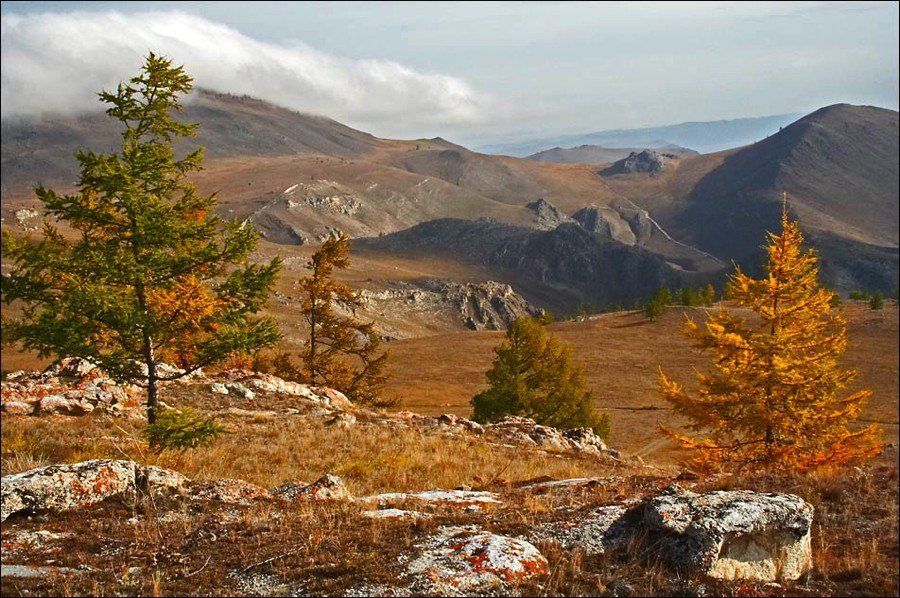 ТАЖЕРАНСКАЯ СТЕПЬ - фото