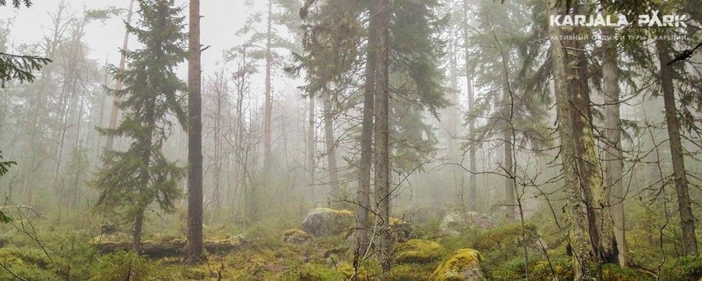Сплавы. "Восхищение Севером" - фото